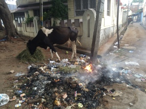 On the street in Mysore