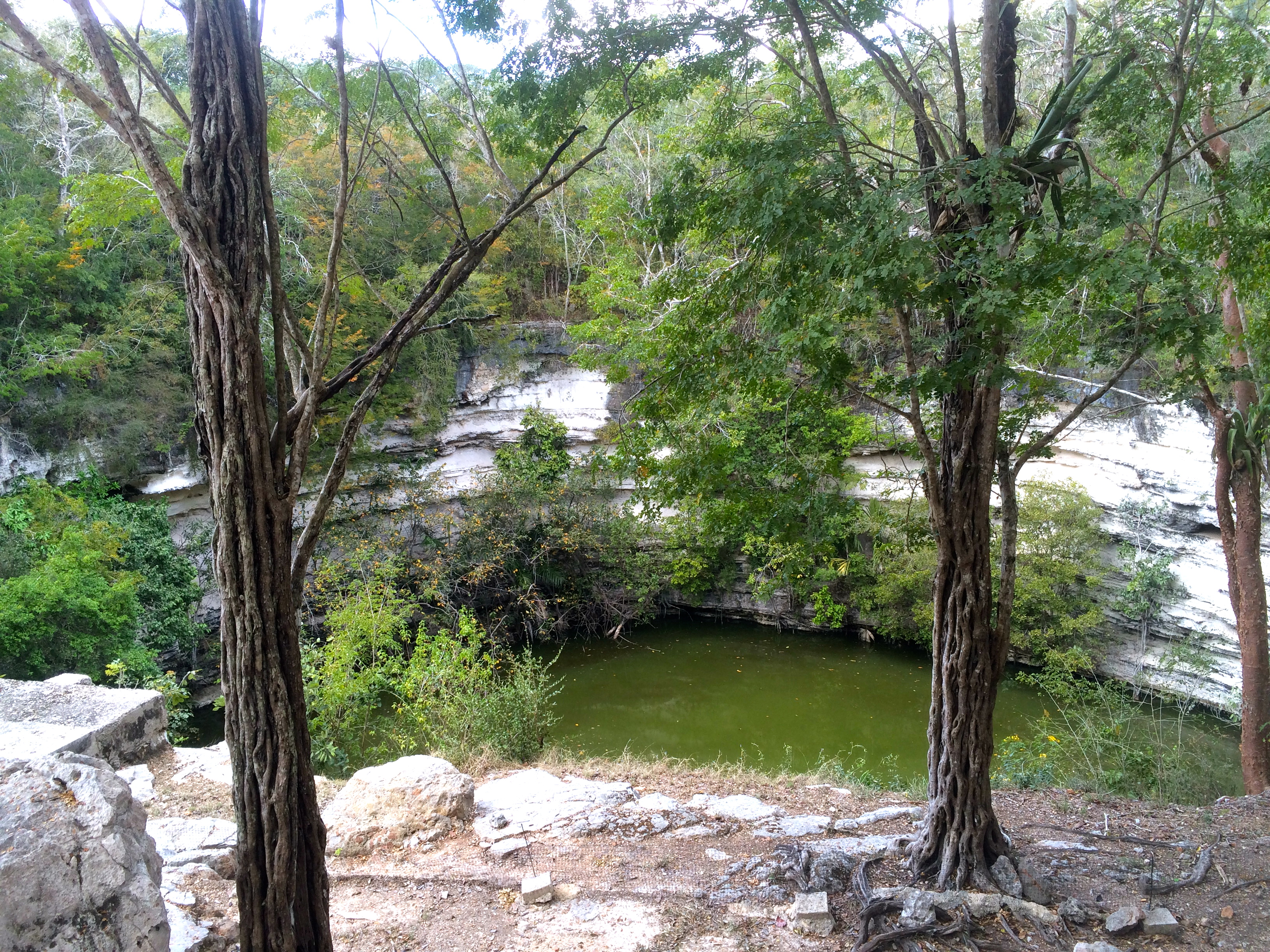 The sacred cenote where the children would be sacrificed.